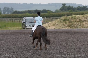 ISIS Dressage Challenge 2008